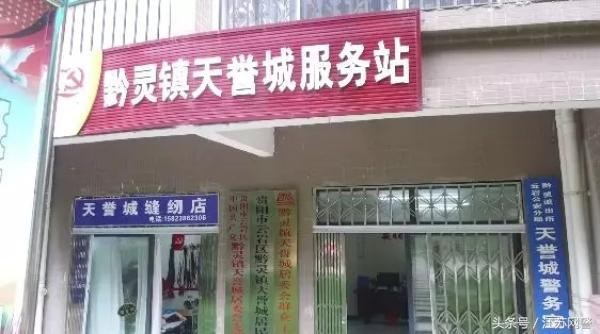 贵阳一小区20多只宠物狗被团灭警惕神秘米饭