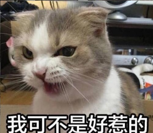 猫的品种大全